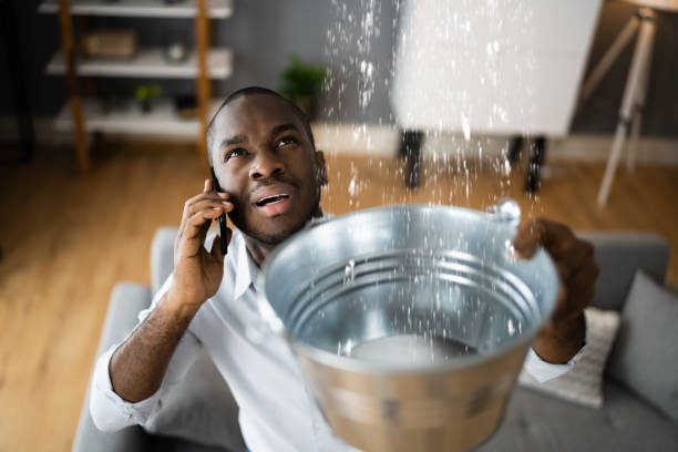 Best Water damage restoration process  in Concordia, NJ