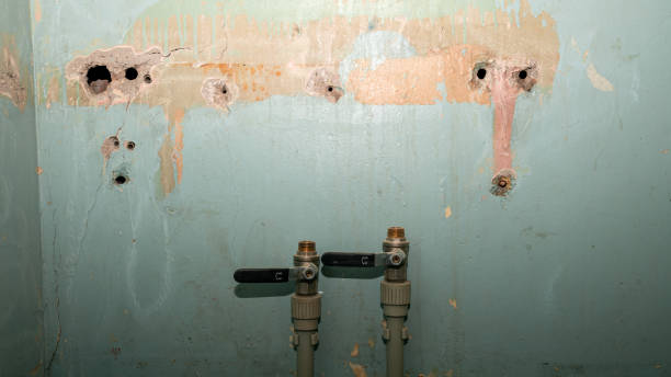 Best Ceiling water damage repair  in Concordia, NJ