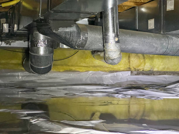 Best Water damage cleanup near me  in Concordia, NJ