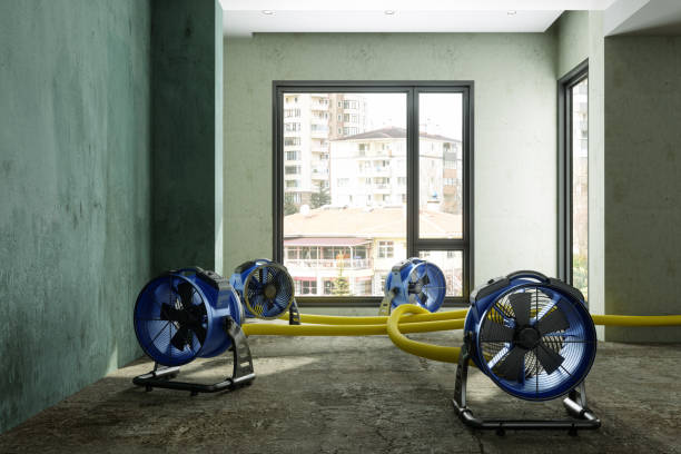 Best Local water damage restoration  in Concordia, NJ