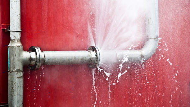  Concordia, NJ Water damage restoration Pros