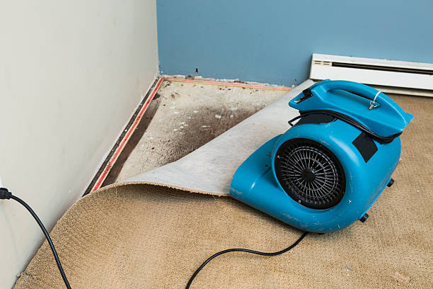 Best Sewage cleanup and water damage restoration  in Concordia, NJ